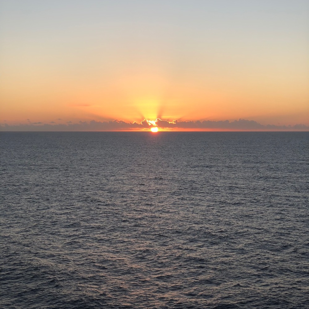 Meet your Posher, Lily